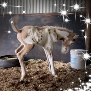 Meet your Posher, Bianca